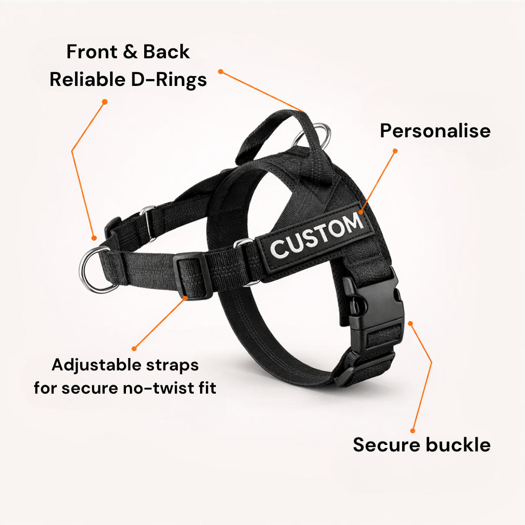 Comfort-Pro Harness & Free Shock-Absorbing Lead