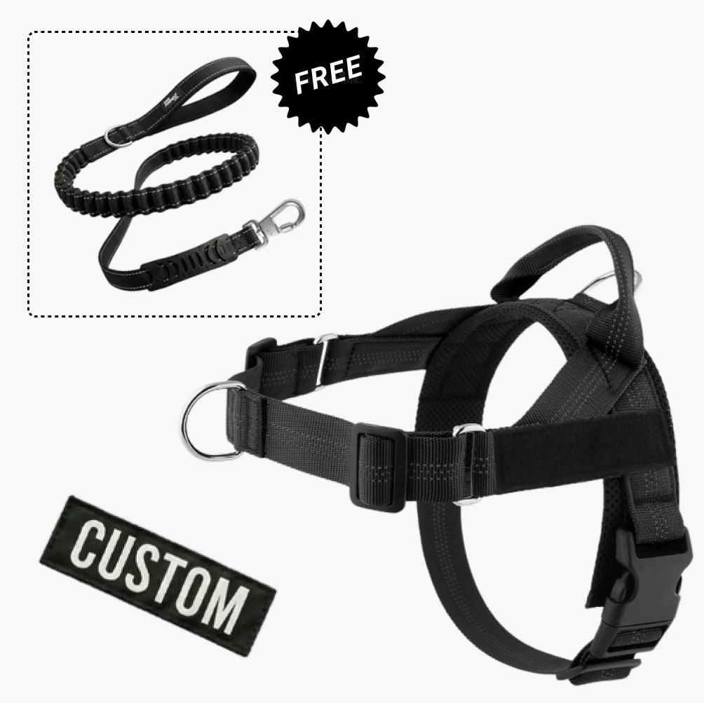 Comfort-Pro Harness & Free Shock-Absorbing Lead