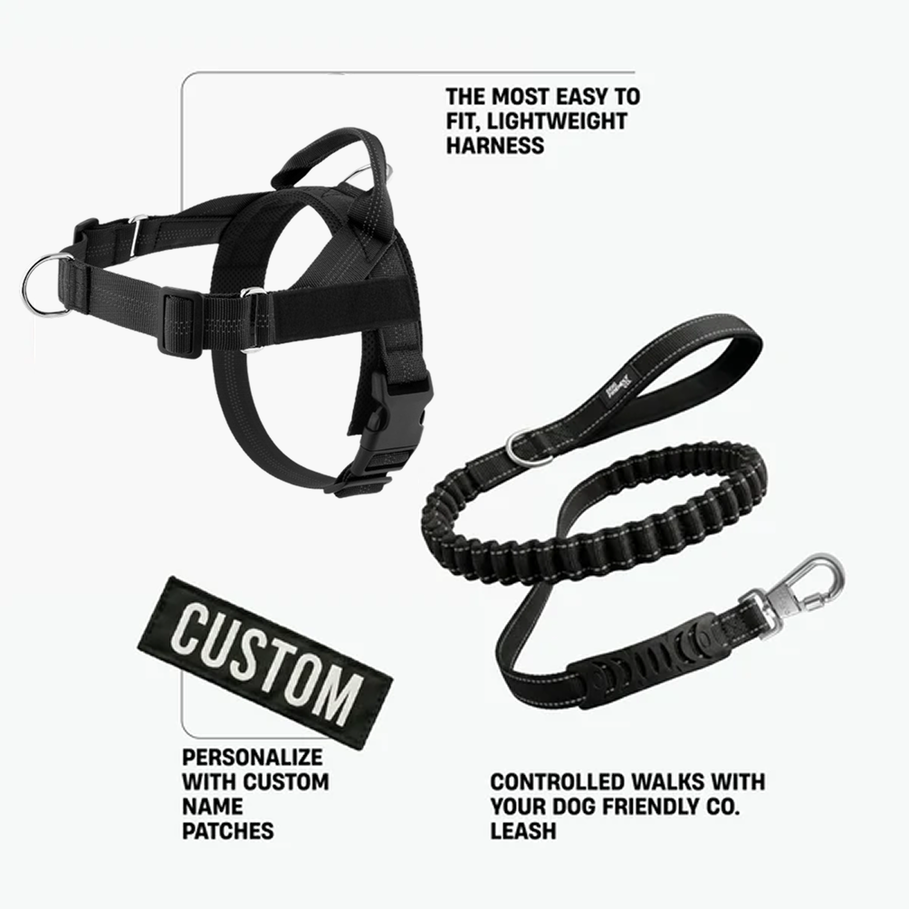 Comfort-Pro Harness & Free Shock-Absorbing Lead