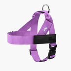 No-pull Leash