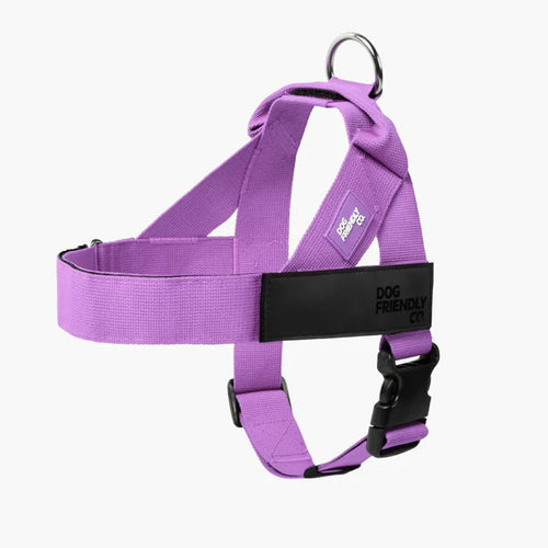 No-pull Leash