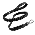 No-pull Leash