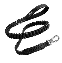 No-pull Leash