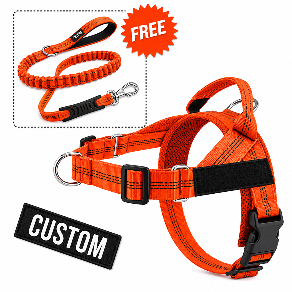 Comfort-Pro Harness & Free Shock-Absorbing Lead