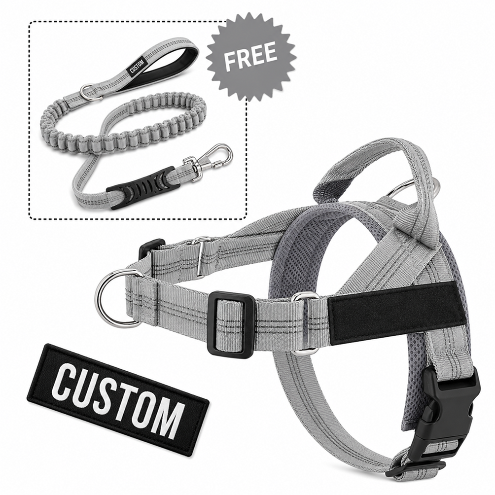 Comfort-Pro Harness & Free Shock-Absorbing Lead