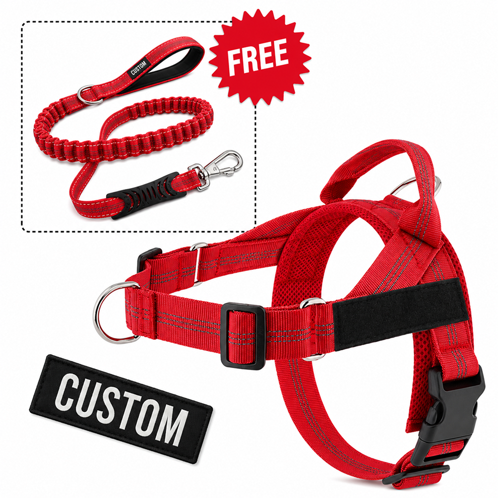 Comfort-Pro Harness & Free Shock-Absorbing Lead