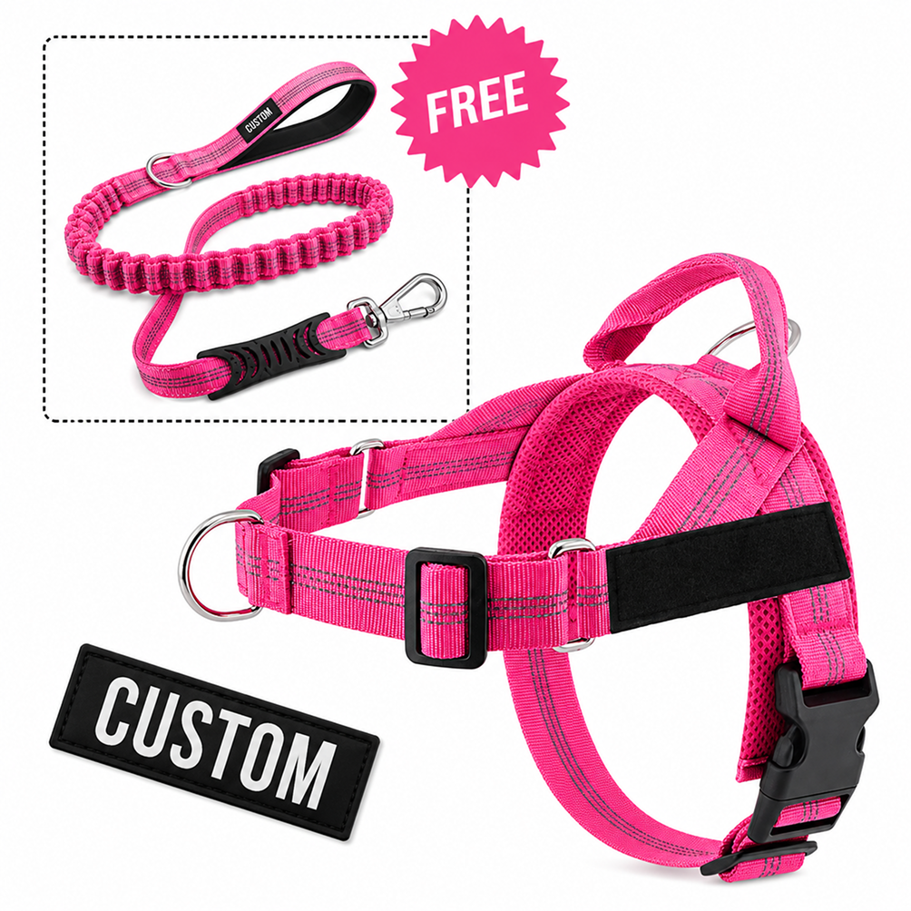 Comfort-Pro Harness & Free Shock-Absorbing Lead