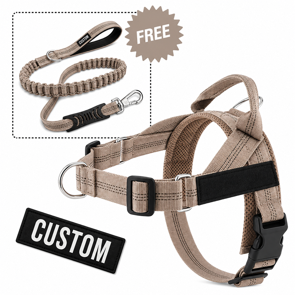 Comfort-Pro Harness & Free Shock-Absorbing Lead