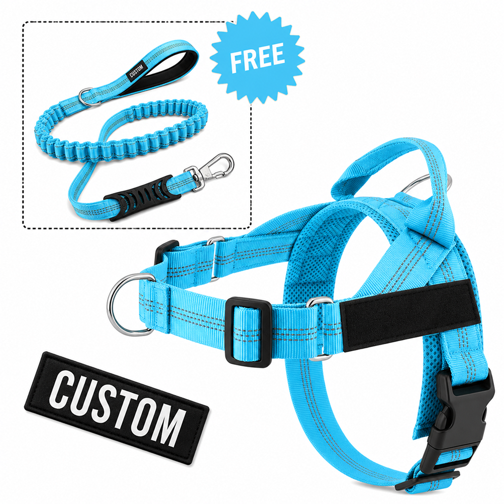 Comfort-Pro Harness & Free Shock-Absorbing Lead