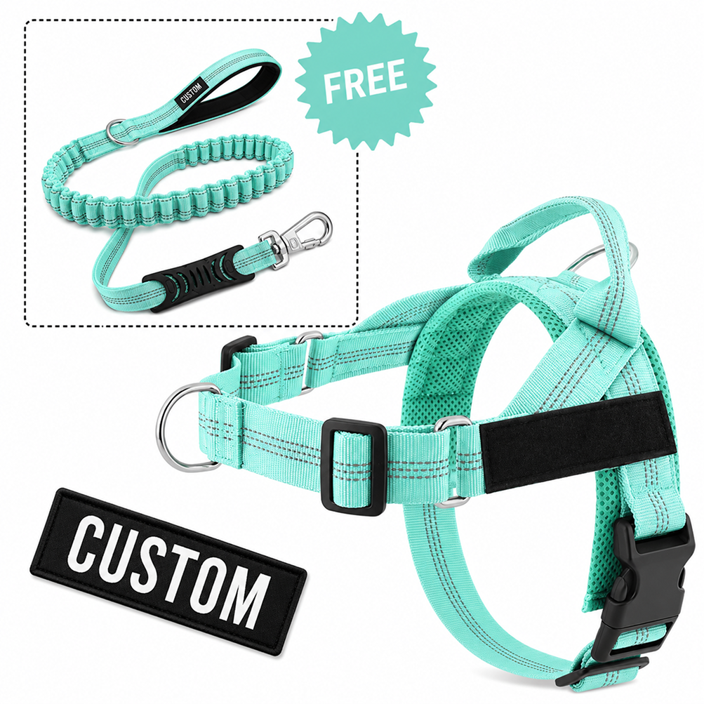 Comfort-Pro Harness & Free Shock-Absorbing Lead